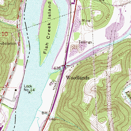 Topographic Map of Woodlands Bridge, WV