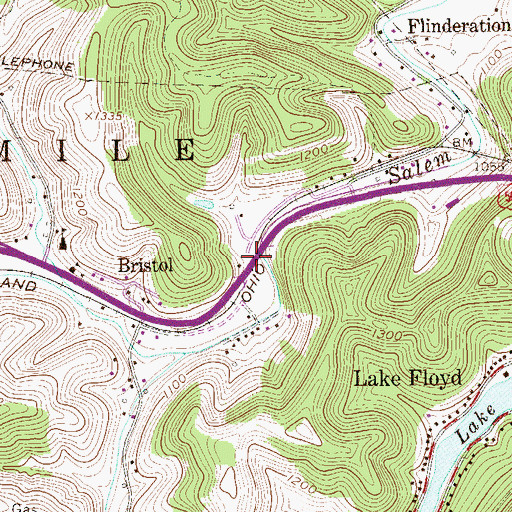Topographic Map of Bristol Bridge, WV