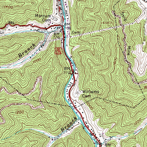 Topographic Map of Cecil Diamond Memorial Bridge, WV