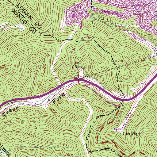 Topographic Map of Railroad Tunnel Overpass, WV