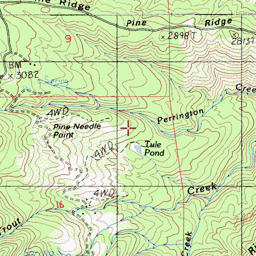 Topographic Map of Pine Needle Point, CA