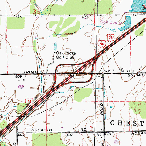 Topographic Map of Interchange 248, MI