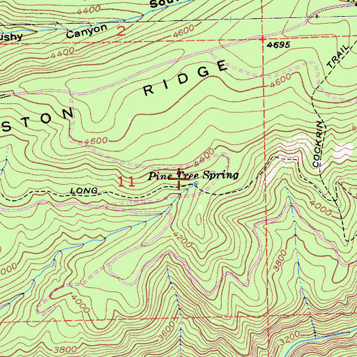 Topographic Map of Pine Tree Spring, CA