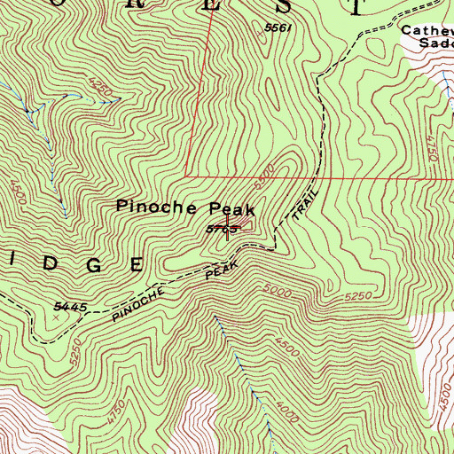 Topographic Map of Pinoche Peak, CA