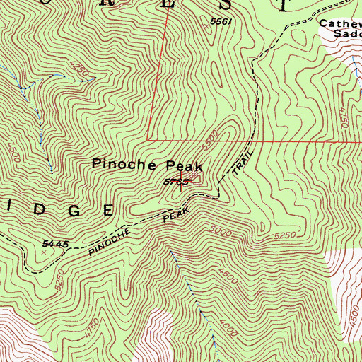 Topographic Map of Pinoche Ridge, CA