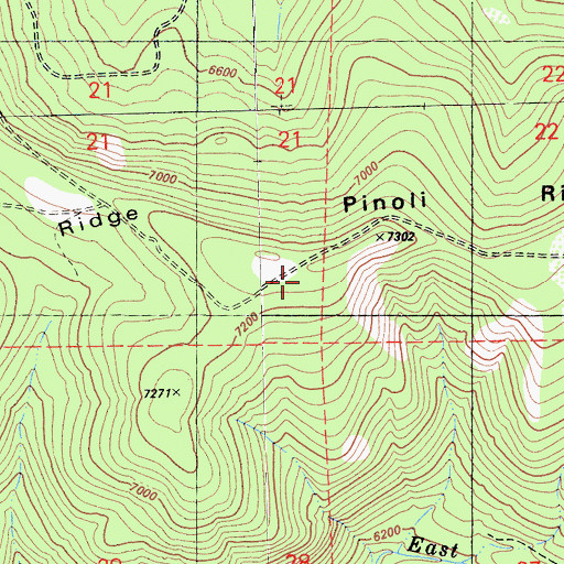 Topographic Map of Pinoli Ridge, CA