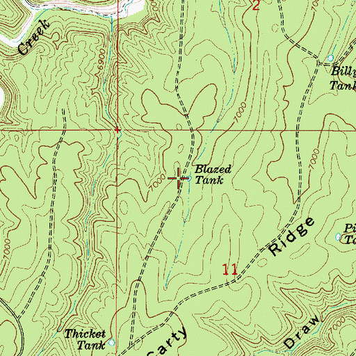 Topographic Map of Blazed Tank, AZ