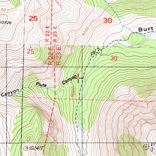 Topographic Map of Piute Canyon, CA