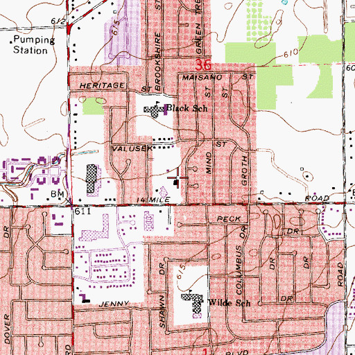 Topographic Map of Saint Malachy Church, MI