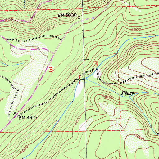 Topographic Map of Plum Creek, CA