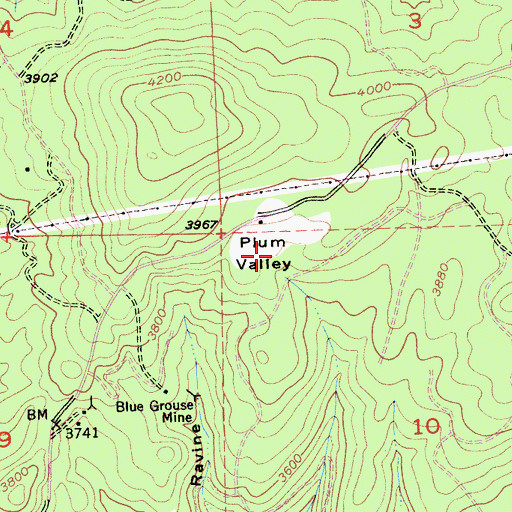 Topographic Map of Plum Valley, CA