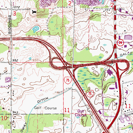 Topographic Map of Interchange 81, MI
