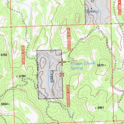 Topographic Map of Poison Creek Spring, CA