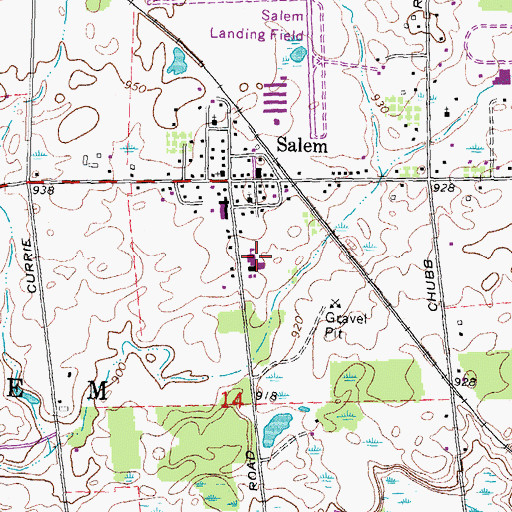 Topographic Map of Salem Elementary School, MI