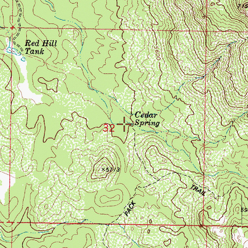 Topographic Map of Cedar Spring, AZ