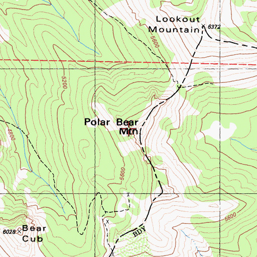 Topographic Map of Polar Bear Mountain, CA