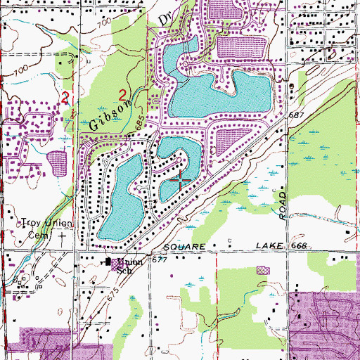 Topographic Map of Pebble Lake, MI