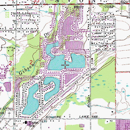 Topographic Map of Emerald Lake, MI
