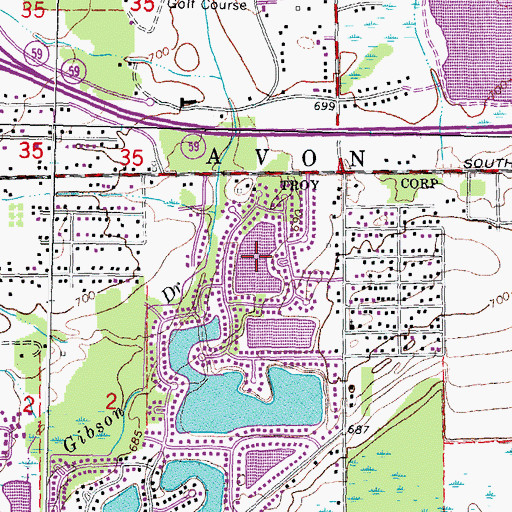 Topographic Map of Sandshores Lake, MI