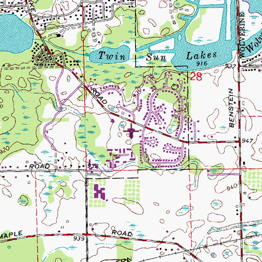 Topographic Map of Loon Lake Elementary School, MI
