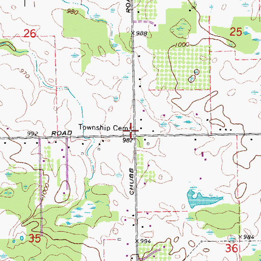Topographic Map of Lyon Township Cemetery, MI