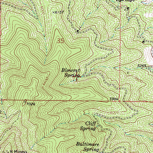 Topographic Map of Blowout Spring, AZ