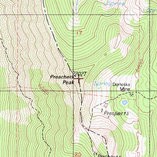 Topographic Map of Preachers Peak, CA