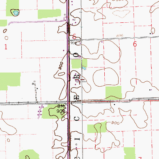 Topographic Map of Fernung Farms, IN