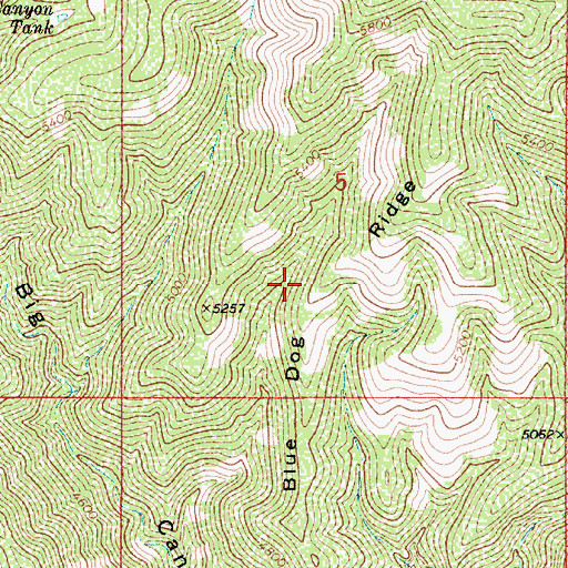 Topographic Map of Blue Dog Ridge, AZ