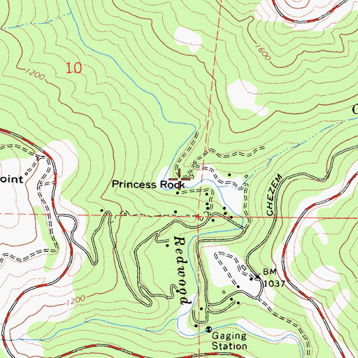 Topographic Map of Princess Rock, CA