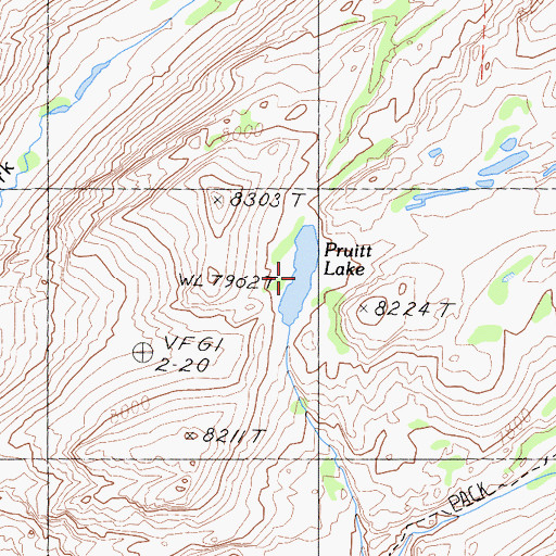 Topographic Map of Pruitt Lake, CA