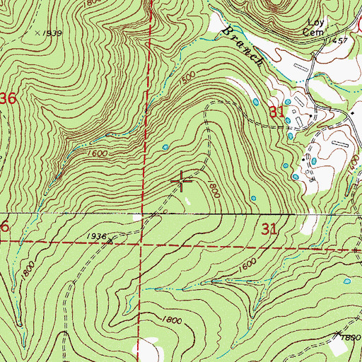 Topographic Map of Ozark Skies Airpark, AR