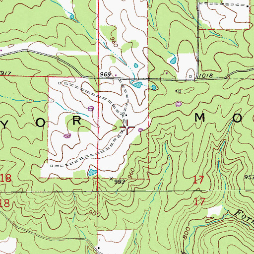 Topographic Map of Diamond Bluff Airport, AR