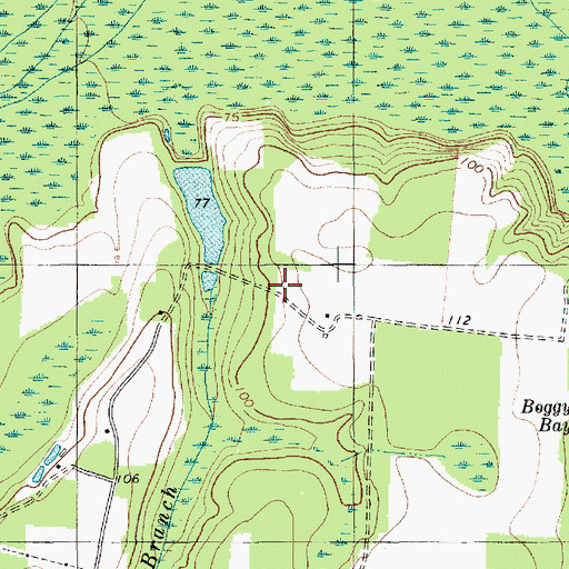 Topographic Map of Pocotaligo Airport, SC