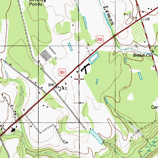 Topographic Map of Palmetto Air Plantation Airport, SC