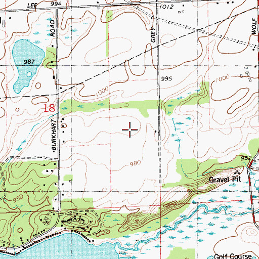 Topographic Map of Wolf Lake Airport, MI