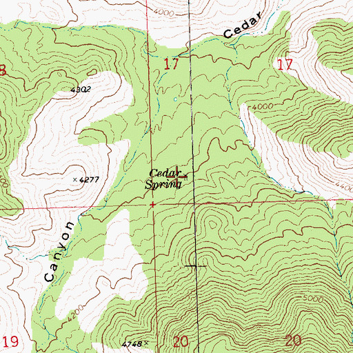Topographic Map of Cedar Spring, AZ