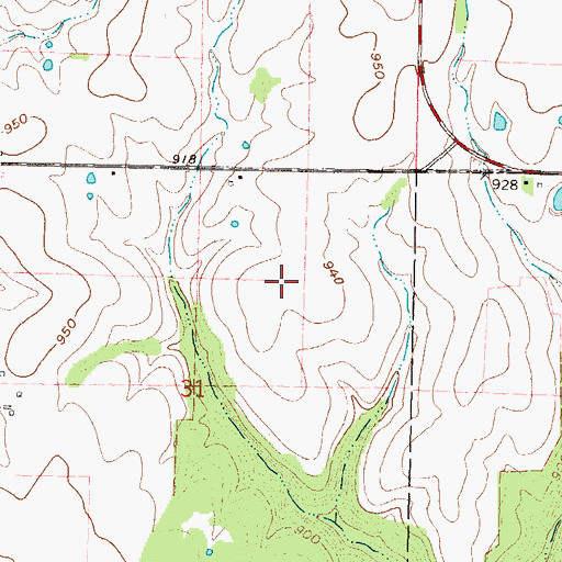Topographic Map of G & S Space Port, KS