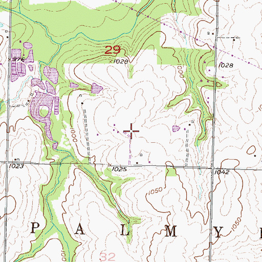 Topographic Map of Michael Airport, KS