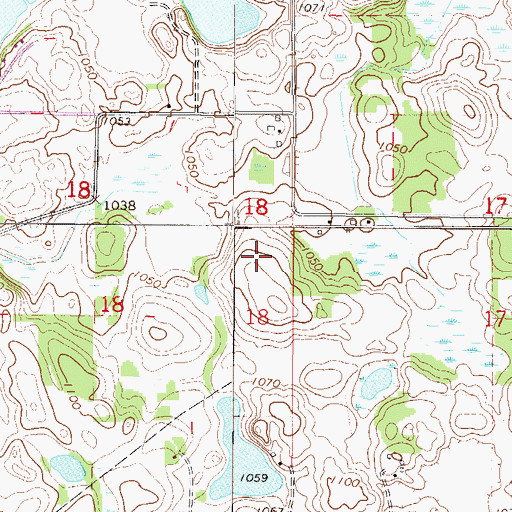 Topographic Map of Irish Mountain Orchard, MN