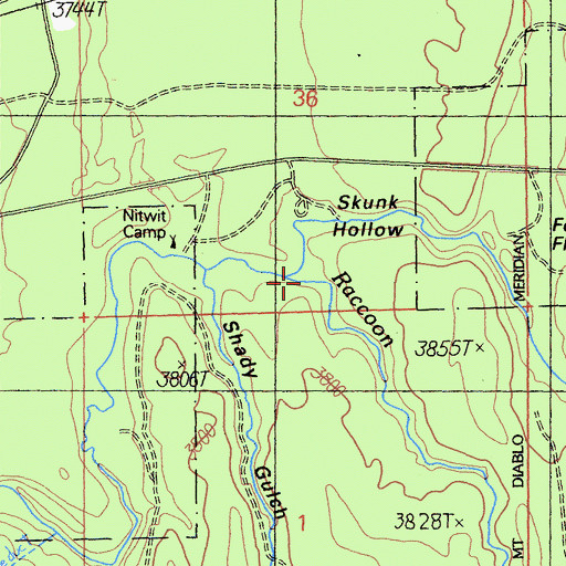 Topographic Map of Raccoon Creek, CA