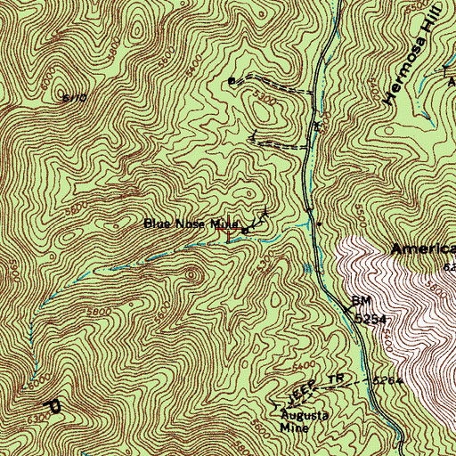 Topographic Map of Blue Nose Mine, AZ