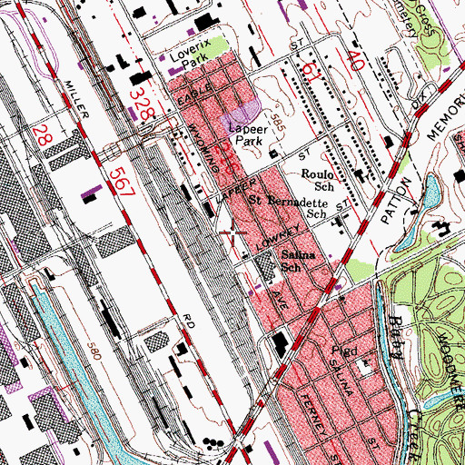 Topographic Map of Paul Costea Park, MI
