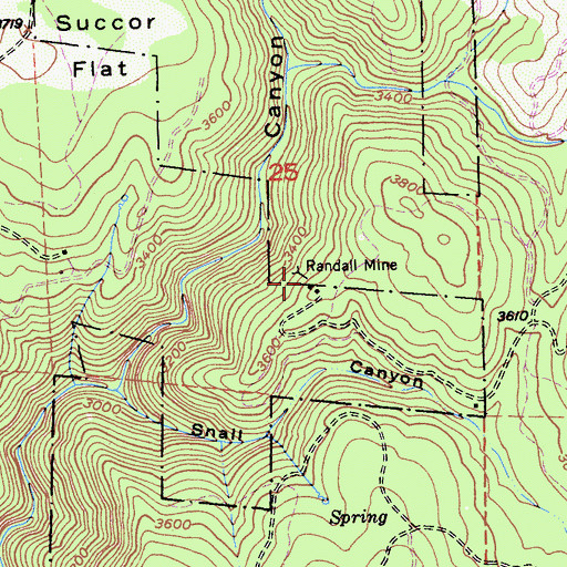Topographic Map of Randall Mine, CA