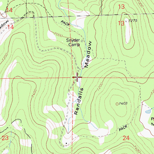 Topographic Map of Randalls Meadow, CA