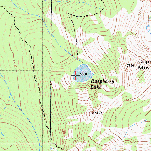 Topographic Map of Raspberry Lake, CA