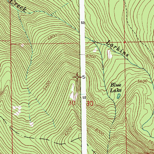 Topographic Map of Grizzley Lake, ID