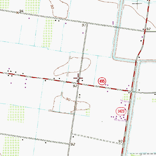 Topographic Map of IDEA Academy Alamo, TX