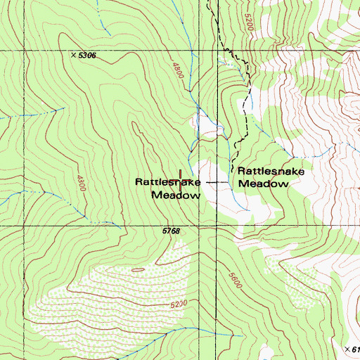 Topographic Map of Rattlesnake Meadow, CA