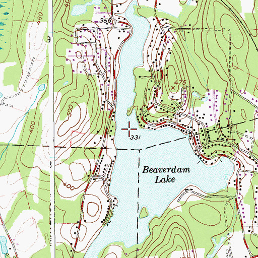 Topographic Map of Beaver Dam Lake Census Designated Place, NY
